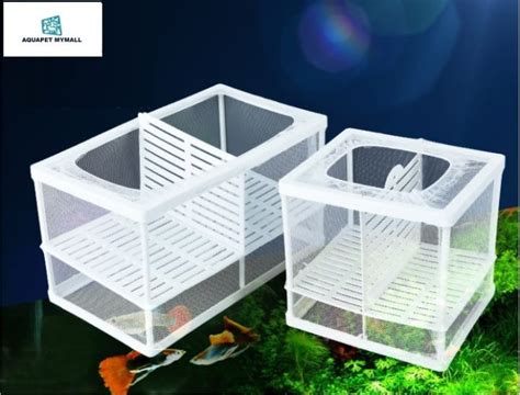 aqplav|aquarium aqp it.